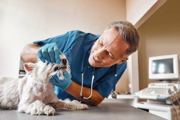 Best Emergency Wisdom Teeth Removal in Navy, VA
